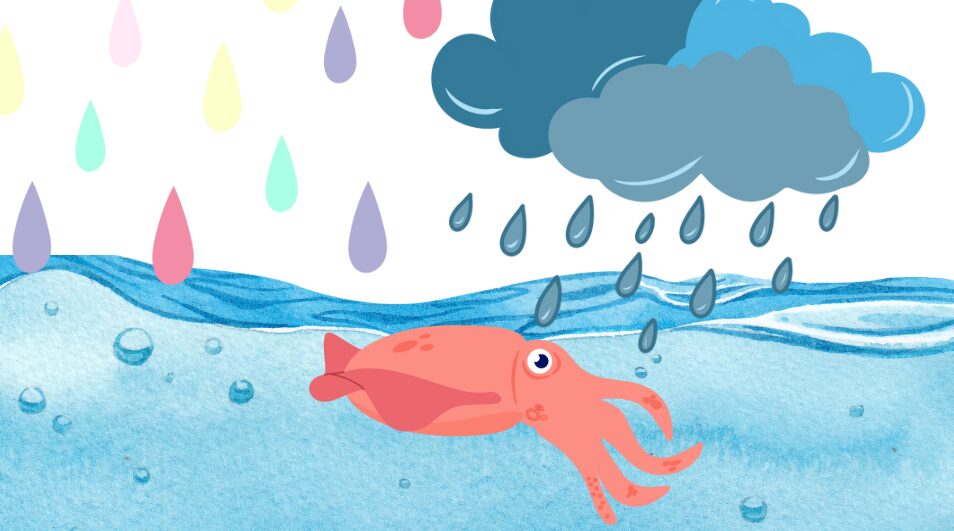 雨天時のアオリイカは日常通り？釣太郎