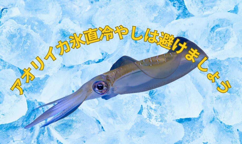 アオリイカは氷と直接接触すると冷凍焼け（フリーザー・バーン）を起こす可能性があります。釣太郎