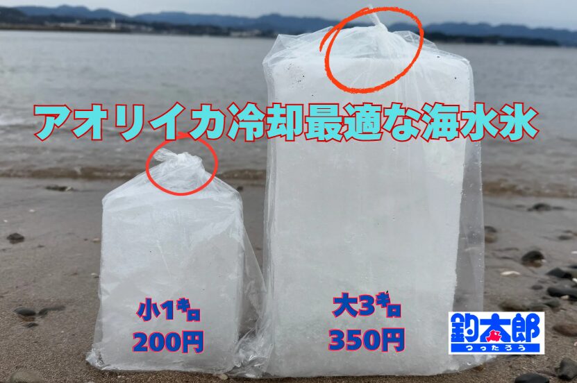 海水氷がアオリイカの冷却に最適な理由を釣り人に解説。