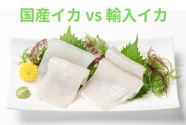 国産イカと輸入イカの違いとは?釣太郎