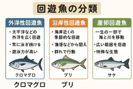 回遊魚とは？種類・特徴・釣り方まで徹底解説！釣太郎