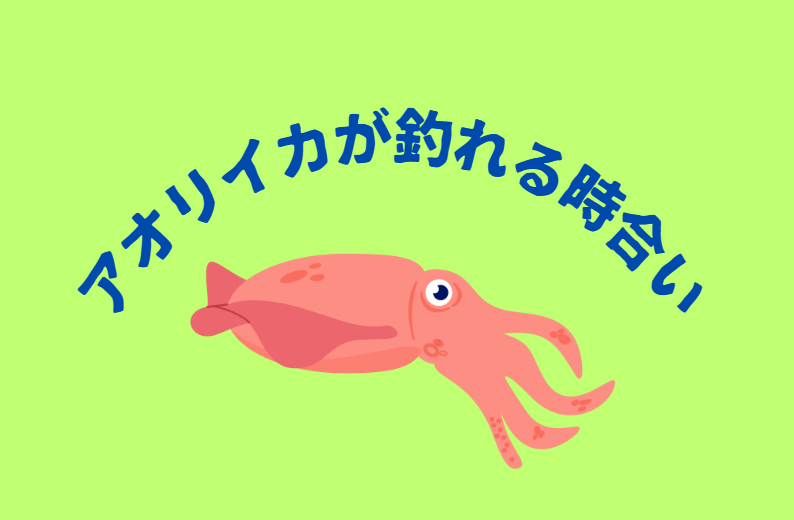 アオリイカが釣れる時合いは、ほかの魚とは違う?釣太郎