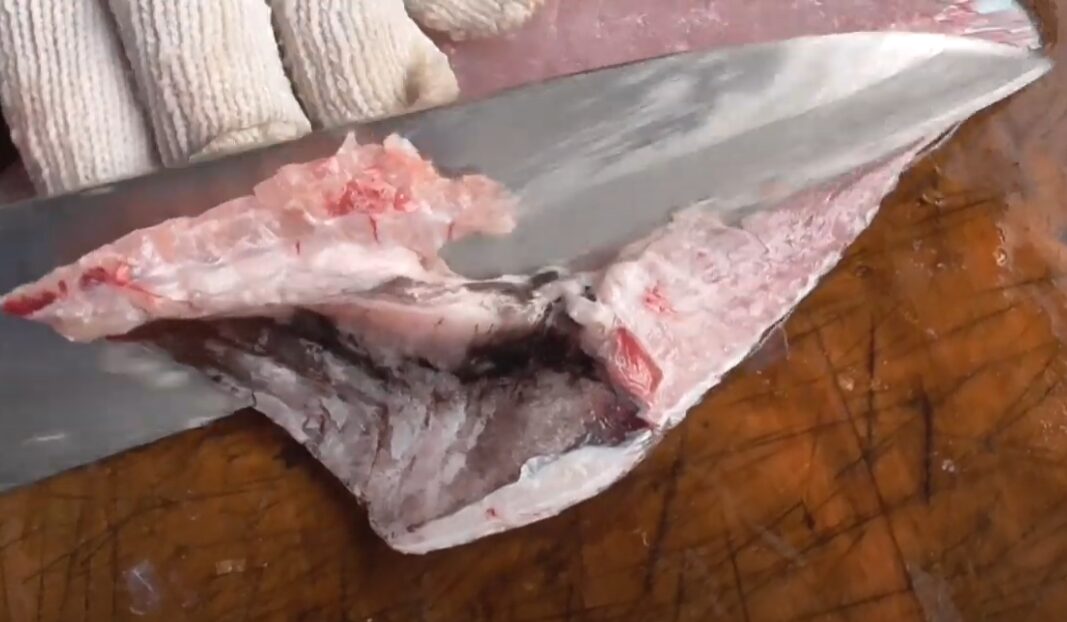 魚をさばくときに真水を使っても大丈夫？ 「すすぎならOK」は本当？浸透圧と水分吸収の真実を解説！釣太郎