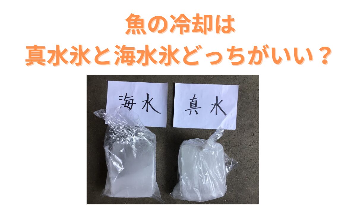 魚の冷却に最適なのはどっち?「真水氷」と「海水氷」を徹底比較!釣太郎