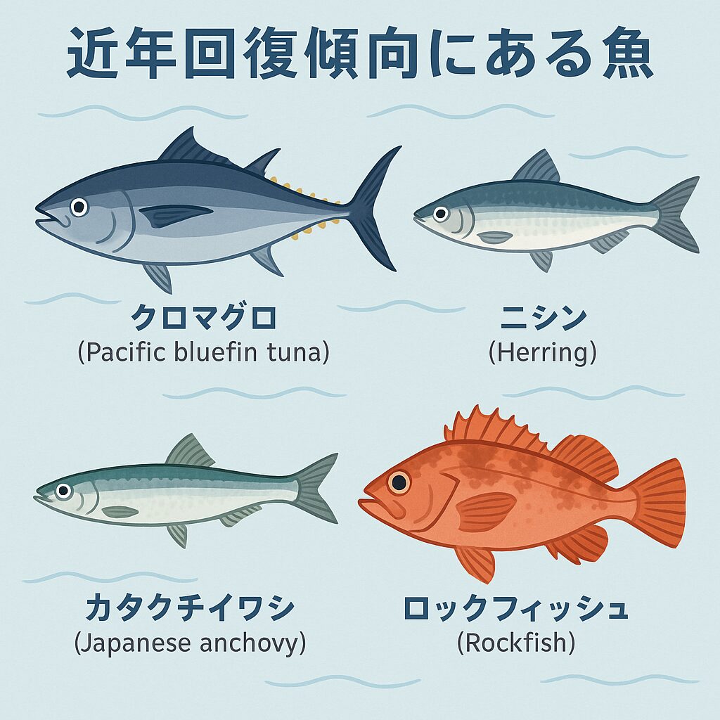 「資源が回復傾向にある」とされる海の魚。釣太郎