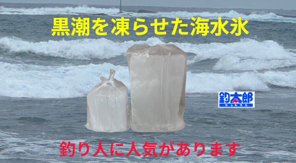 黒潮で作った海水氷はアオリイカ冷却に最適。釣太郎