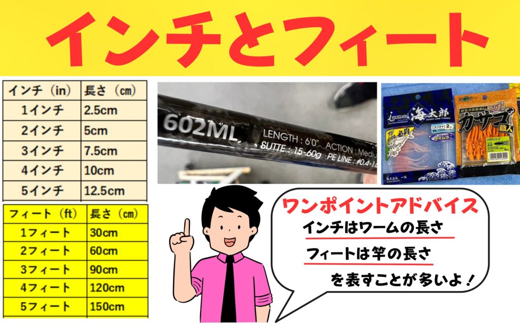 インチとフィートの違いを釣り人向けに徹底解説!ロッドやワーム選びがスムーズに!釣太郎
