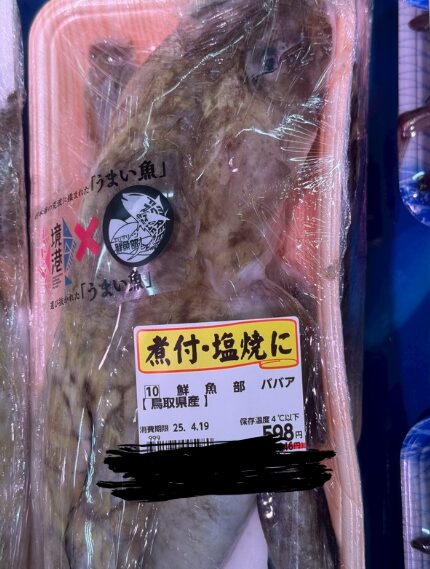 魚は場所が変わればモノも変わる。見たことがない魚は地方にも多い。初めて見たババアという魚。釣太郎