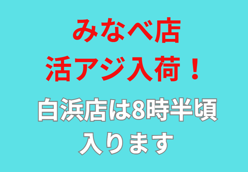 みなべ店、アオリ用活アジ入荷しました。釣太郎