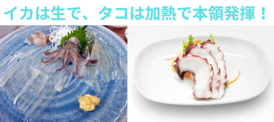 イカは生で、タコは加熱で本領発揮!釣太郎