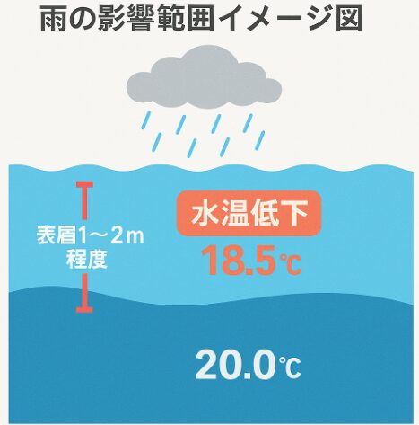 雨が降ると海水温は下がるが「浅い層だけ」釣太郎