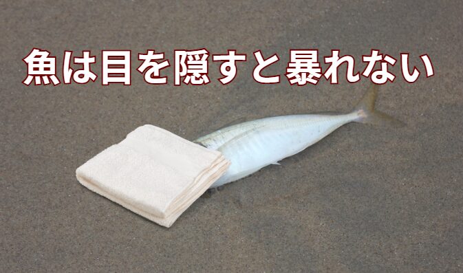 釣った魚を大人しくさせるには、タオルで目を隠すといい。釣太郎