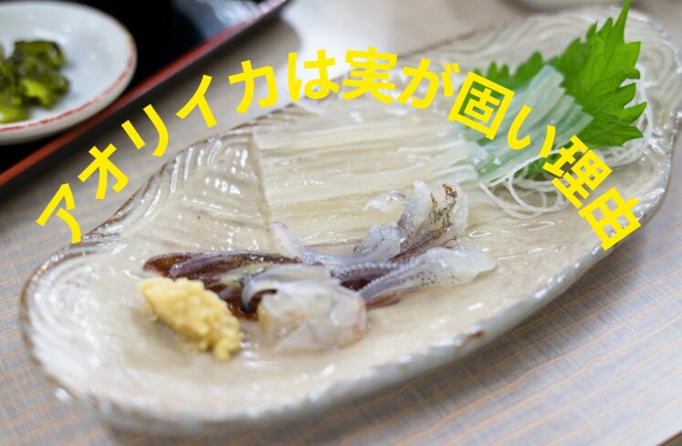 アオリイカは実が固いには、筋肉の繊維が細かく、弾力があるのと、水分を包み込んで外に出しにくいため。釣太郎