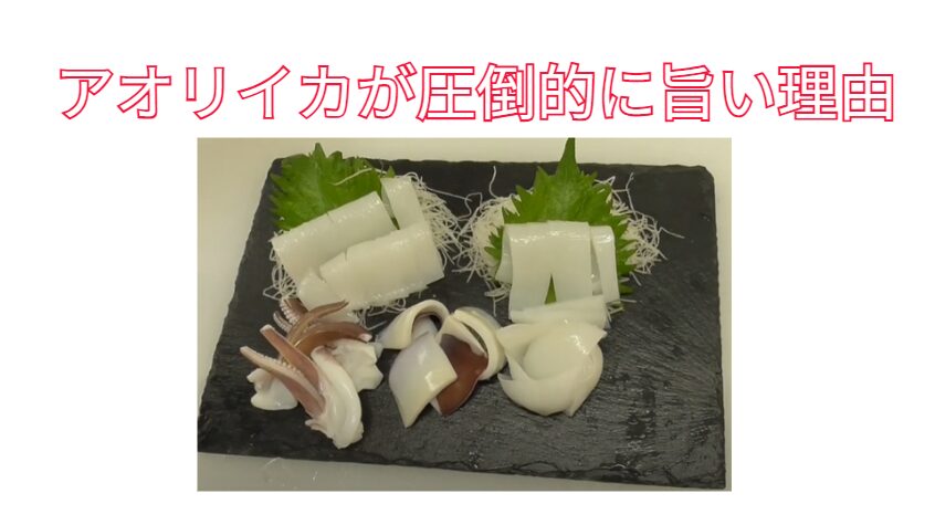 アオリイカが圧倒的に旨い理由。釣太郎