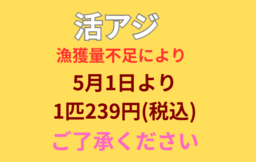 5月1日よりアオリイカ釣り用エサ、活アジ1匹239円(税込)となります。釣太郎