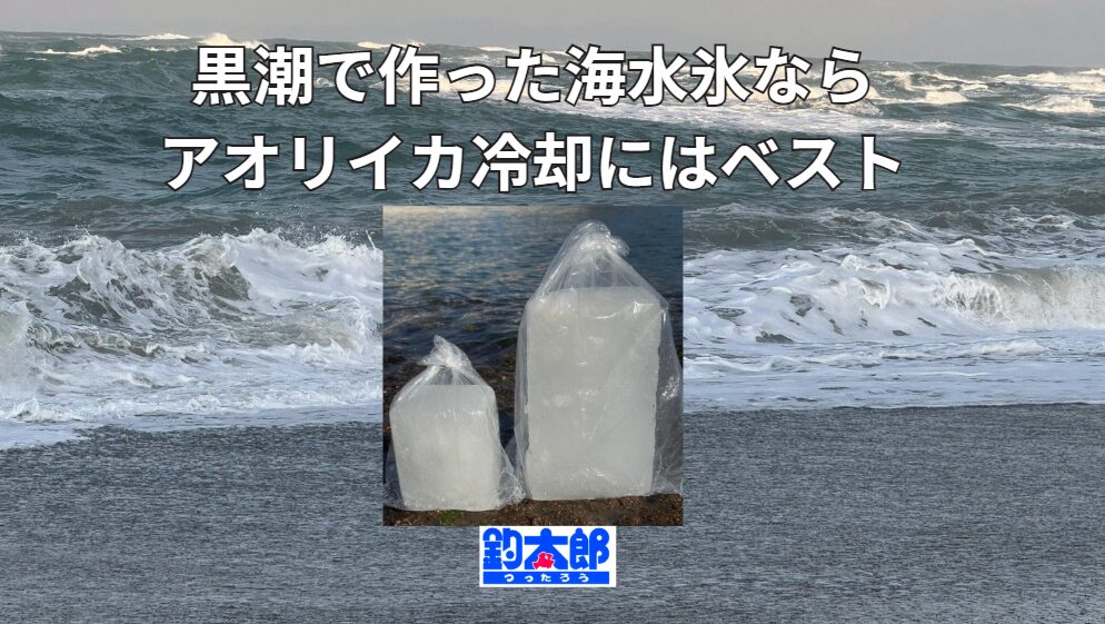 釣太郎の海水氷は黒潮で作ったものなので、アオリイカ冷却に最適。