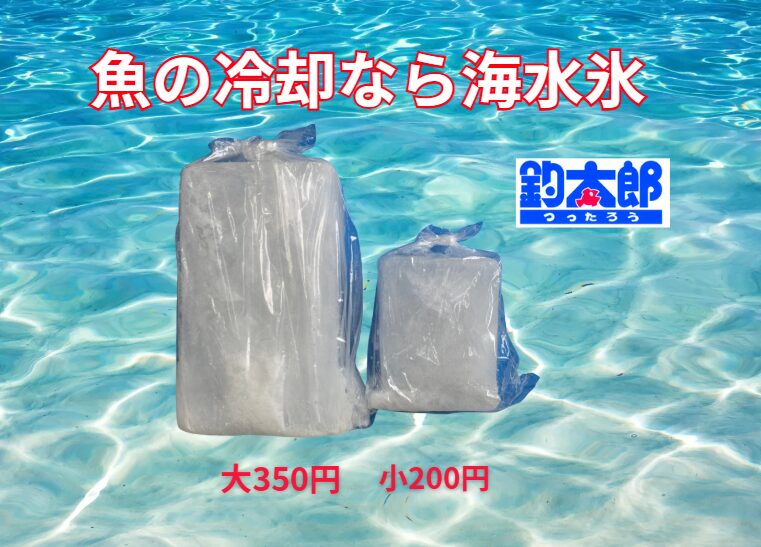 釣り人に浸透しつつある海水氷が、本当に真水氷よりもアオリイカや魚の冷却に適しているのか、検証します。釣太郎