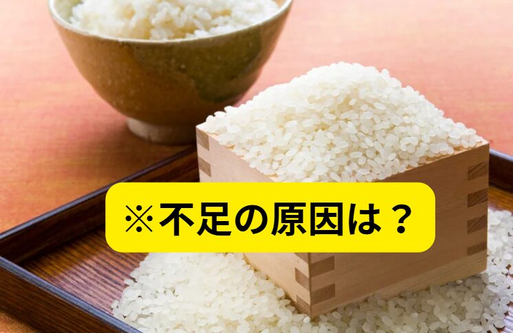 現在コメ不足で価格高騰しているが、この原因は何？政策が誤っていた？猛暑？釣太郎