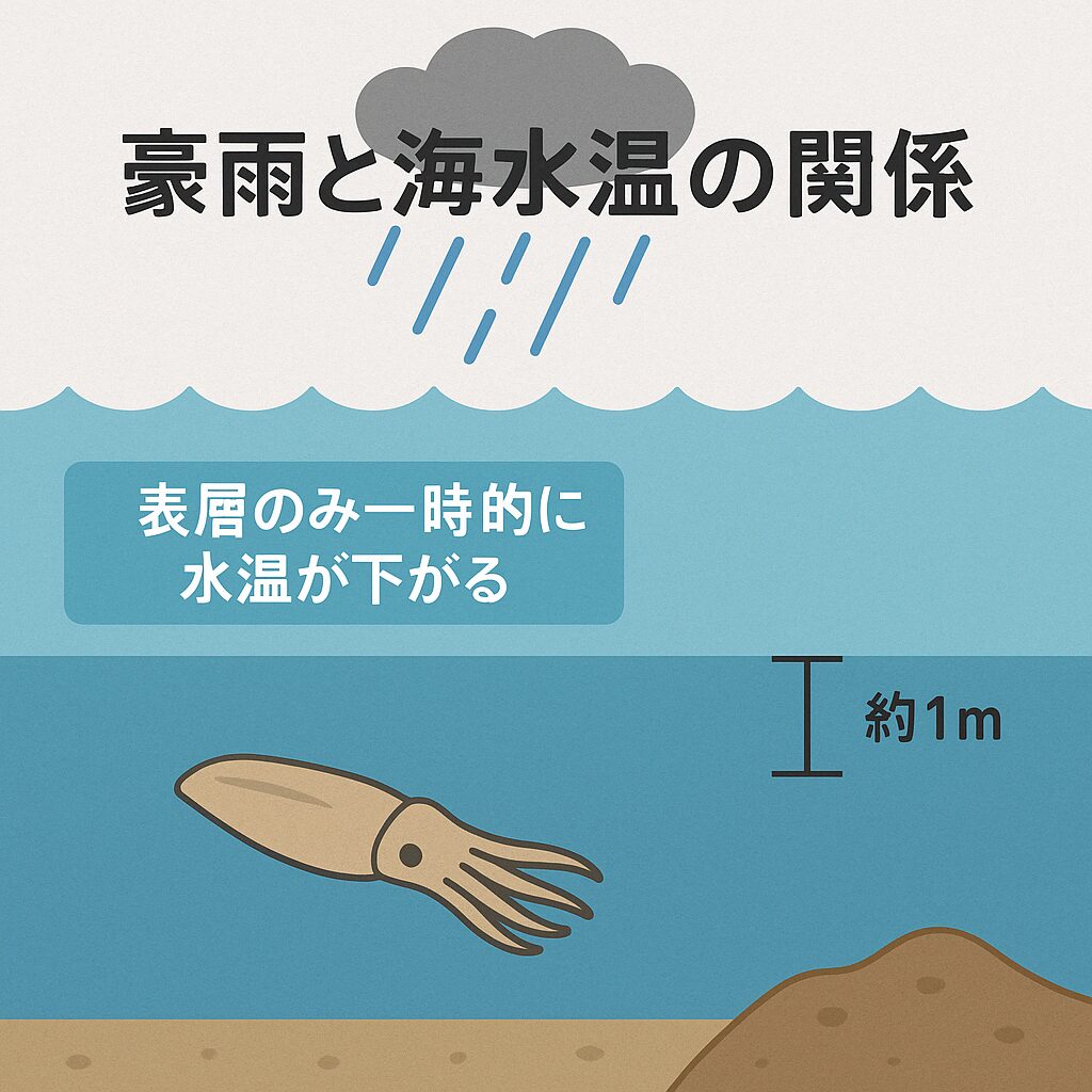 雨と水温の関係。アオリイカ釣り入門。釣太郎