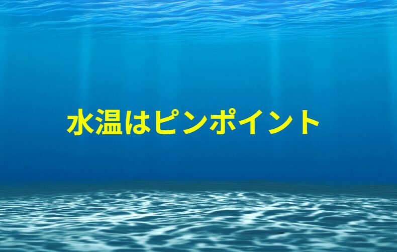 海水温度はピンポイントのものであり、場所や水深、時間がずれると大きく違うことも多い。釣太郎