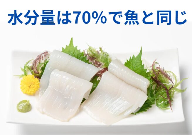 アオリイカの水分量は魚と同じ70から80%あります。釣太郎