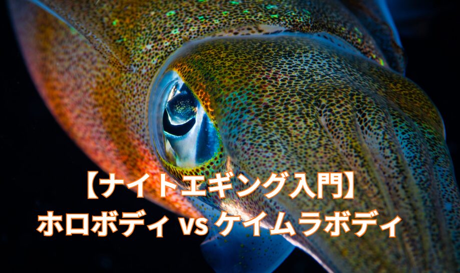 【ナイトエギング入門】ホロボディ vs ケイムラボディ｜アオリイカが釣れるのはどっち？釣太郎
