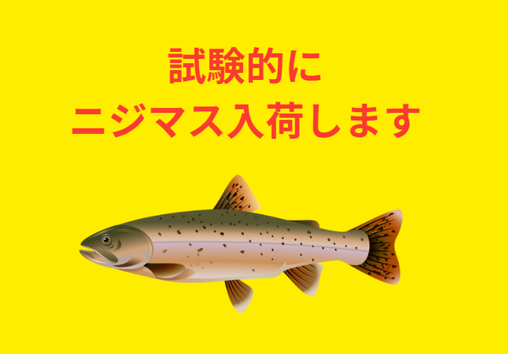 試験的に、のませ、ウキ釣り用エサとしてニジマス入荷します。釣太郎