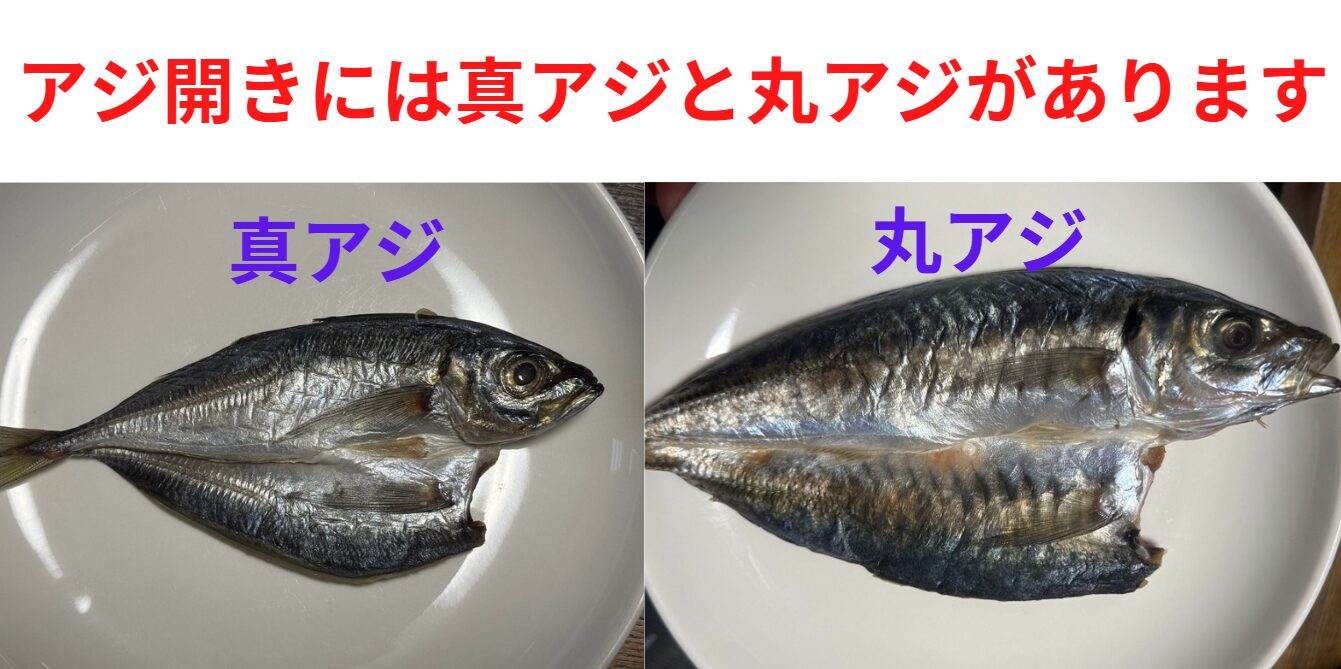 丸アジとマアジの開き。アジ干物の違い説明。釣太郎