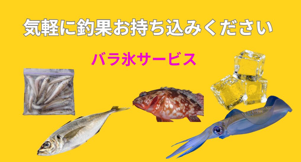 釣った魚、アオリイカ、サイズ魚種問いません。気軽にお持ち込みください。釣太郎