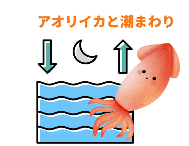 春のアオリイカ釣りは「潮回り×時間帯」が命！釣太郎
