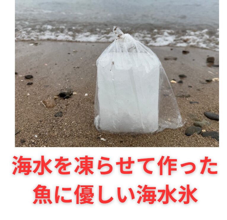 釣った魚を最高の状態で持ち帰るためには、海水氷の使用が不可欠です。釣太郎