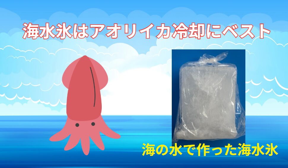 海水氷がアオリイカの旨さを引き出すワケ。釣太郎