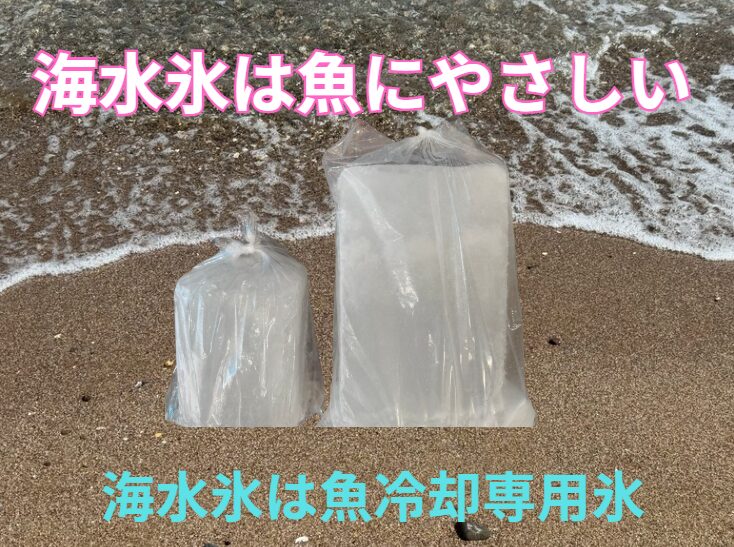 海水氷のメリットは、 魚の表面が凍らず、身割れしにくい。釣太郎