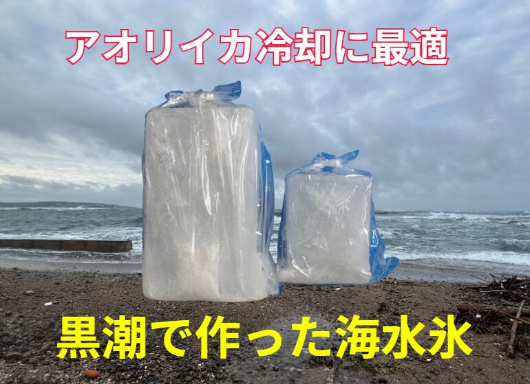 釣ったアオリイカを冷却するなら、黒潮を凍らせた海水氷がベスト。釣太郎