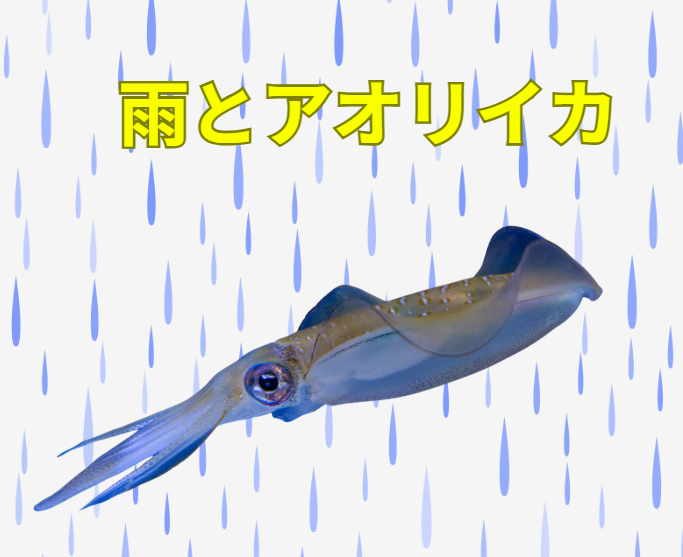 雨とアオリイカ釣りの関係説明。釣太郎