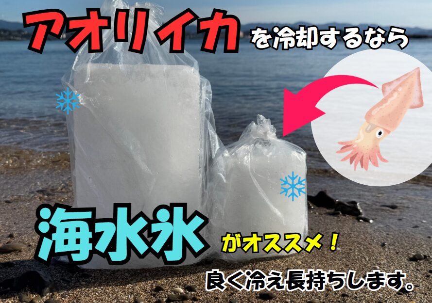 アオリイカを冷やすなら「海水氷」が最強！釣太郎の海水氷は1kgと3kgを選べて超便利！
