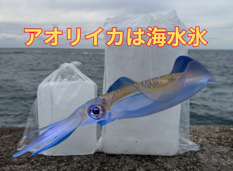 釣太郎では、1キロ200円、3キロ350円で海水氷を販売しています。海水氷を扱っている店舗は少ない。これはアオリイカ冷却に最適。