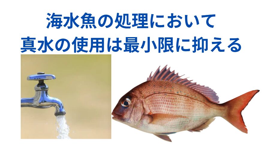 海水魚の処理において真水の使用は、基本的に避けるのがベター。釣太郎