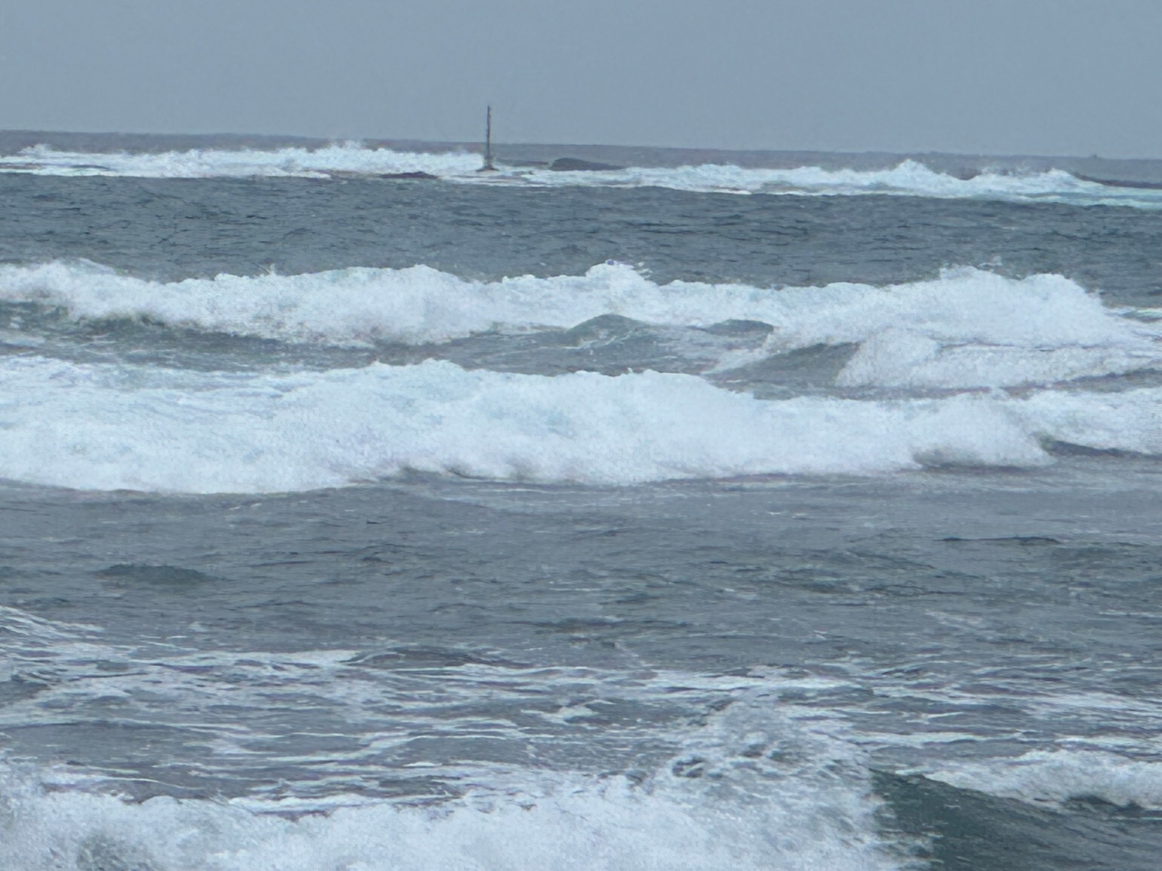 黒潮は暖流で海の恵みが豊富。釣太郎
