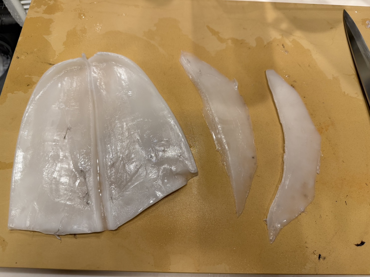 アオリイカの冷凍は家庭用では何時間させればいい?最高はどれくらいにすれば冷凍焼けしない?釣太郎