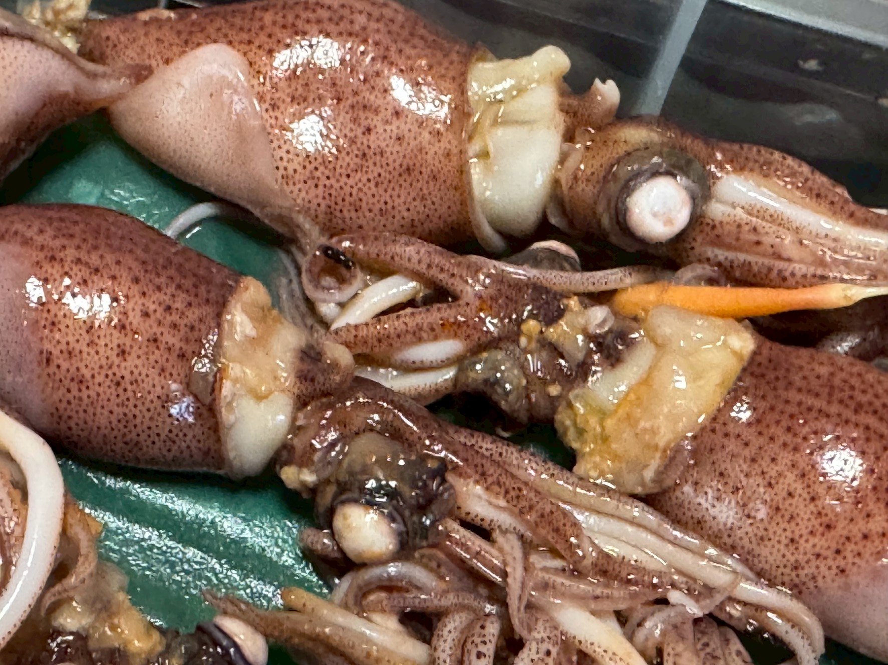 ホタルイカ、美味だが眼玉が異常に硬い。この理由説明。釣太郎