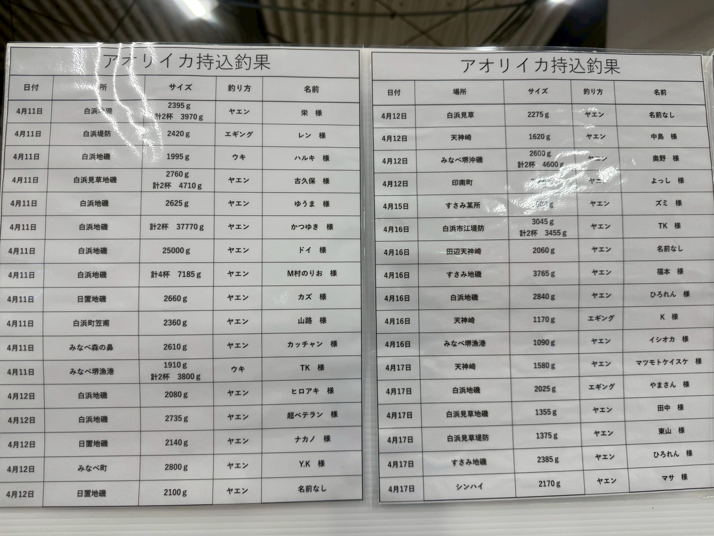 アオリイカ好調の為、釣果ボード写真なしで文章のみに変更しています。釣太郎