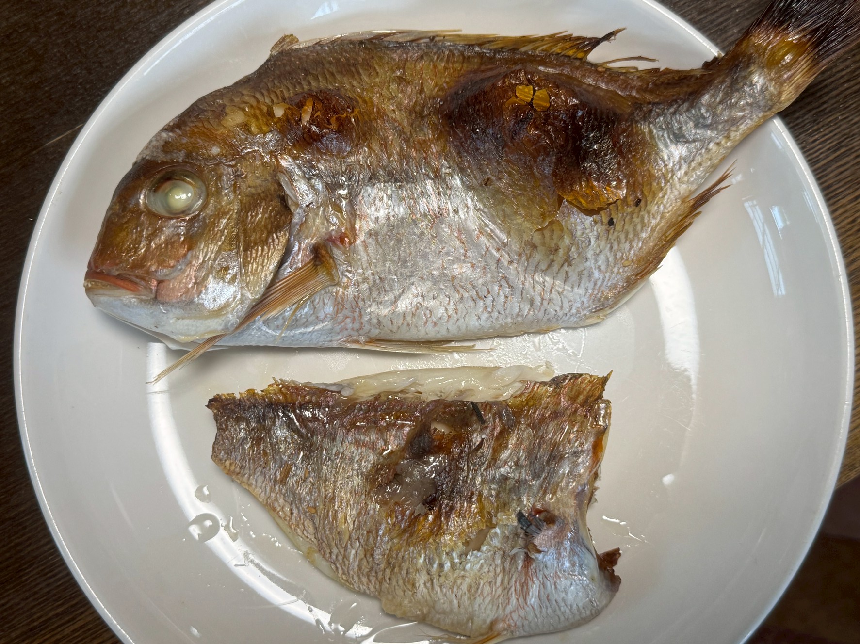 サスエ前田魚店の干物は一級品。名前が通っているだけのことはあります。釣太郎