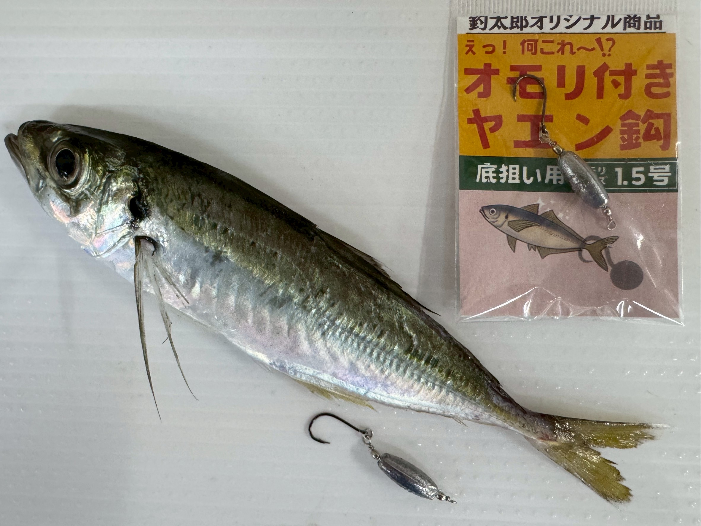 ヤエン釣りでも、アジを操作する時代へ。アオリイカ釣り師に、オモリ付きヤエン針、人気があります。釣太郎