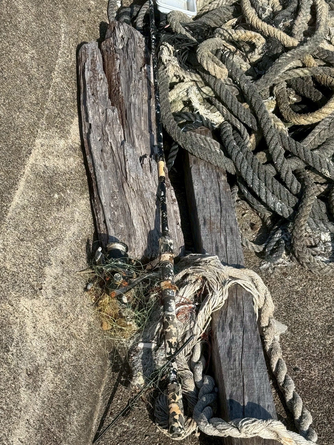 【海の底からよみがえった竿】 ～誰にも知られず、海で眠り続けた釣り道具の物語～。釣太郎