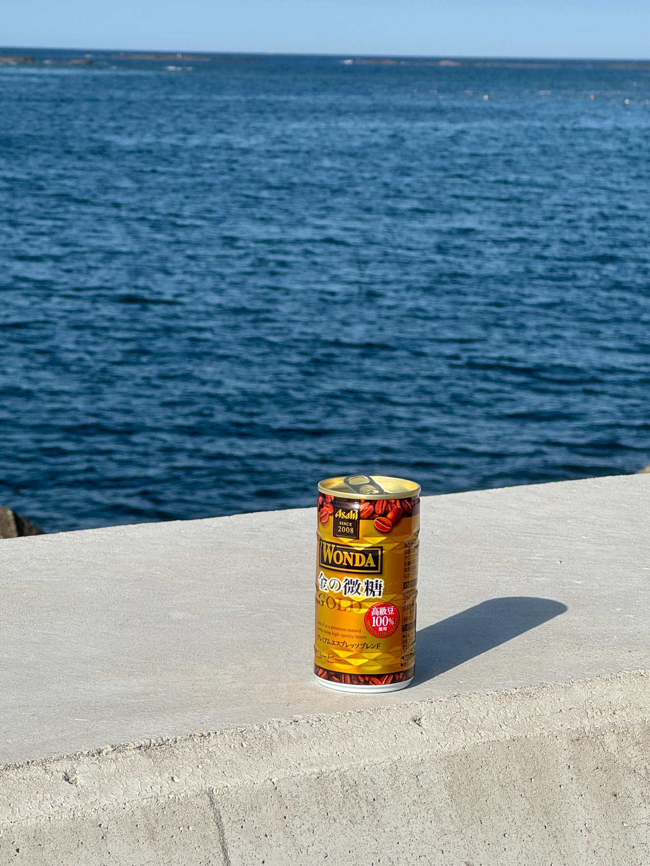 空き缶が海に投げ入れられた時、完全に分解するのはどれくらいの時間がかかる?ナイロンと違い、海には影響がない?釣太郎