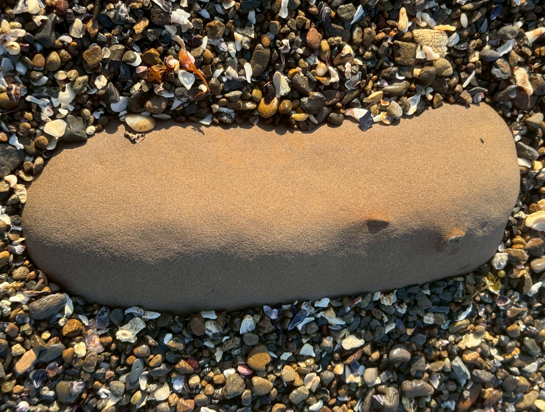 砂浜には異質の石。肌がつるつるしてブラウン。これは何?釣太郎