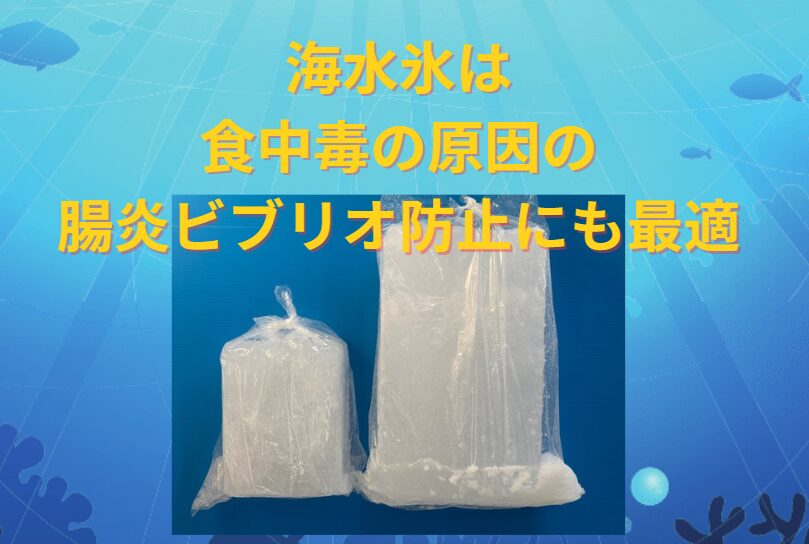 海水氷を適切に使用することは、魚の鮮度を保つだけでなく、腸炎ビブリオによる食中毒のリスクを低減します。釣太郎
