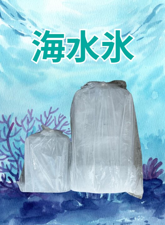 魚冷却なら海水を凍らせた海水氷がベスト。釣太郎