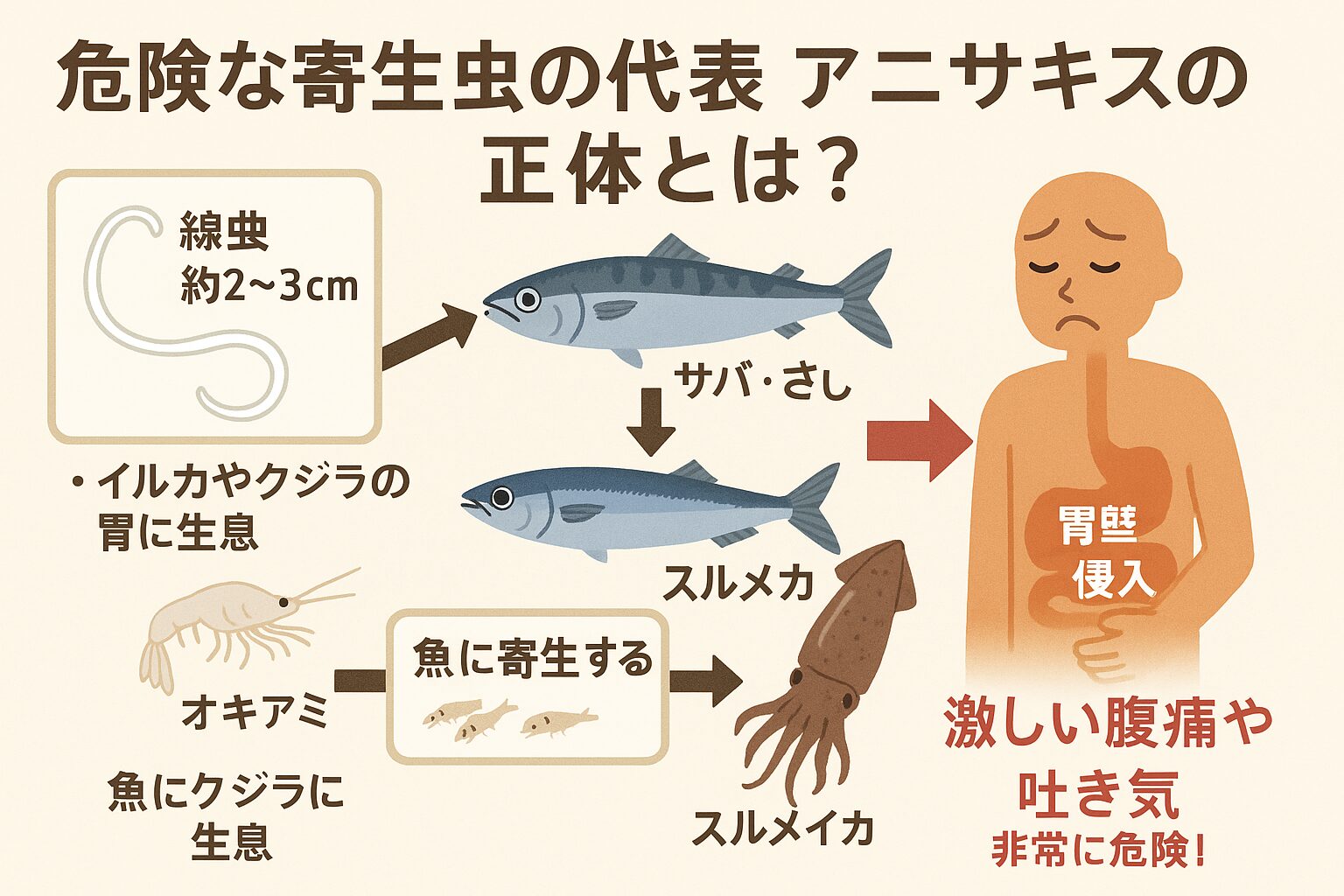 危険な寄生虫の代表「アニサキス」正体のご説明。釣太郎